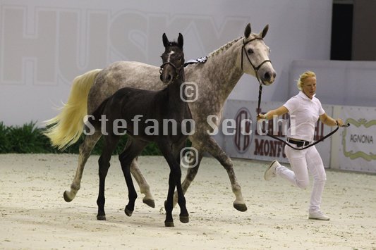 CA D ORO_MILANO_2010_SS3_3985.jpg